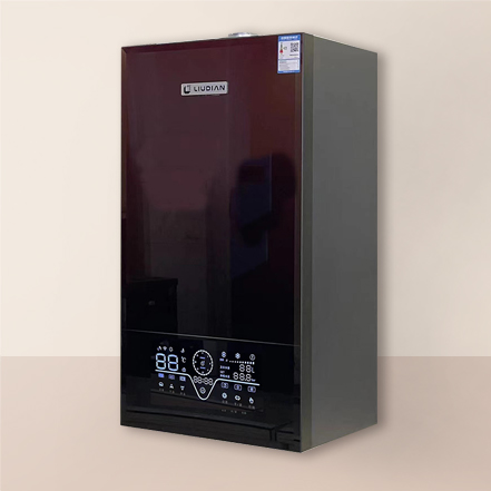 智⼼系列 燃⽓采暖热⽔炉 